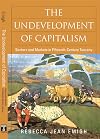 The Undevelopment of Capitalism: Sectors and Markets in Fifteenth-Century Tuscany (Politics History & Social Chan)