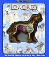 Uncover a Dog (Uncover Books)