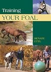 Training Your Foal