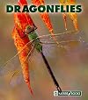 Dragonflies (New Naturebooks)