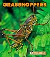 Grasshoppers (New Naturebooks)