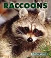 Raccoons (New Naturebooks)
