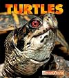 Turtles (New Nature Books)