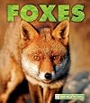 Foxes (Naturebooks: Carnivores)