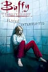 Buffy the Vampire Slayer, Volume 16: Slayer, Interrupted