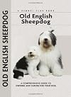 Old English Sheepdog