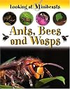 Ants, Bees and Wasps (Looking at Minibeasts)
