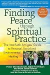 Finding Peace through Spiritual Practice: The Interfaith Amigos' Guide to Personal, Social and Environmental Healing