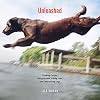 Unleashed: Climbing Canines, Hiking Hounds, Fishing Fidos, and Other Daring Dogs