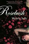 Rosebush