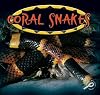 Coral Snakes (Amazing Snakes Discovery Library)
