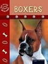 Boxers (Eye to Eye with Dogs)