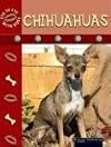 Chihuahuas (Eye to Eye with Dogs)
