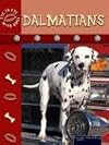 Dalmatians (Eye to Eye with Dogs)