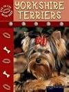 Yorkshire Terriers (Eye to Eye With Dogs)