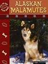 Alaskan Malamutes (Eye to Eye With Dogs)