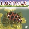 Ladybugs (Discovery Library: Insects)