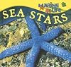 Sea stars