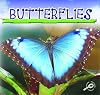 Butterflies (Discovery Library: Insects)