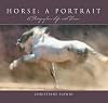 Horse, a Portrait: A Photographer's Life With Horses