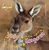Joey to Kangaroo (LifeCycles)