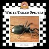 White-Tailed Spiders (Checkerboard Animal Library: Spiders)