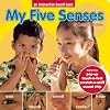 My Five Senses (Interactive Board Books)