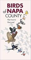 Birds of Napa County