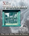 Tsunami!: The 1946 Hilo Wave Of Terror (X-Treme Disasters That Changed America)