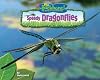 Speedy Dragonflies