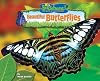 Beautiful Butterflies