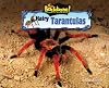 Hairy Tarantulas (No Backbone! the World of Invertebrates)