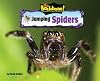 Jumping Spiders (No Backbone! the World of Invertebrates)