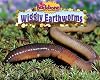 Wiggly Earthworms (No Backbone! the World of Invertebrates)