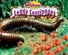 Leggy Centipedes (No Backbone! the World of Invertebrates)