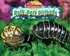 Roly-Poly Pillbugs (No Backbone! the World of Invertebrates)