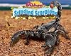 Stinging Scorpions (No Backbone! the World of Invertebrates)