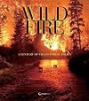 Wildfire: A Century of Failed Forest Policy