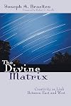 The Divine Matrix: Creativity As Link Between East and West (Faith Meets Faith Series)