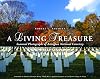 A Living Treasure: Seasonal Photographs of Arlington National Cemetery