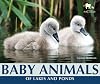 Baby Animals of Lakes and Ponds