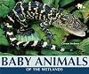 Baby Animals of the Wetlands