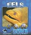 Eels (Buddy Books: Underwater World)
