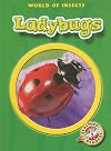 Ladybugs