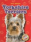 Yorkshire Terriers