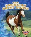 The American Paint Horse