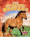 The Spanish Mustang