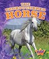 The Thoroughbred Horse