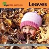 EyeLike Nature: Leaves
