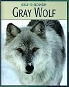 Gray Wolf (Road to Recovery)